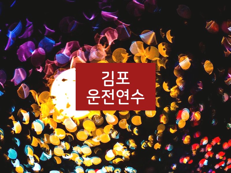 김포운전연수 후기