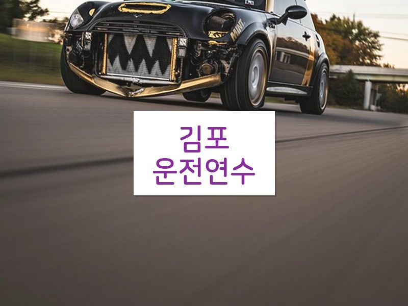 김포운전연수 후기