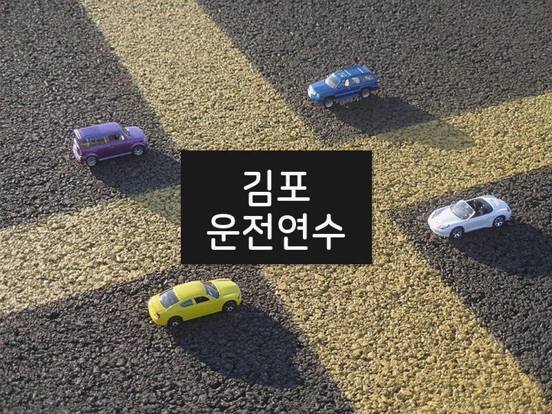 김포운전연수 후기