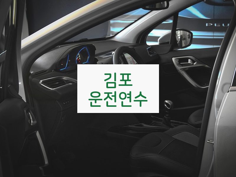 김포운전연수 후기