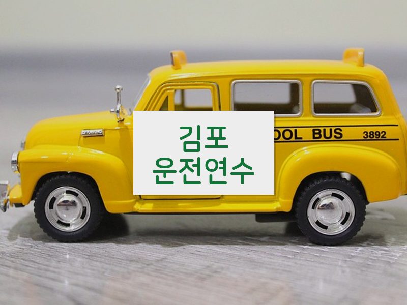김포운전연수 후기