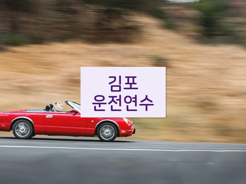 김포운전연수 후기