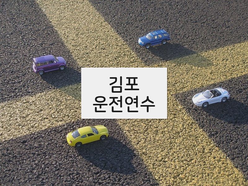 김포운전연수 후기