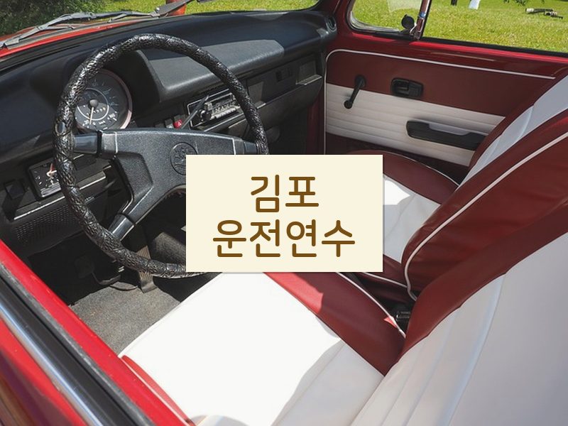 김포운전연수 후기