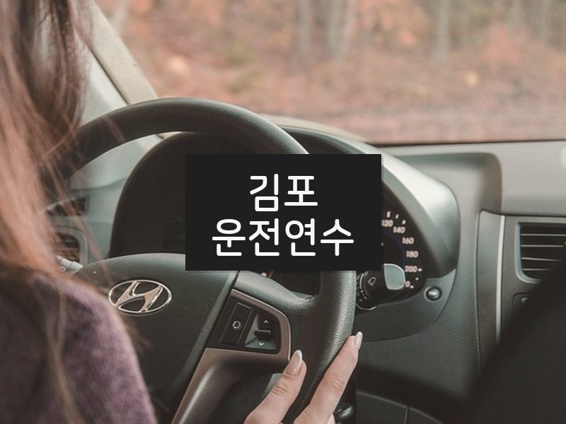 김포운전연수 후기