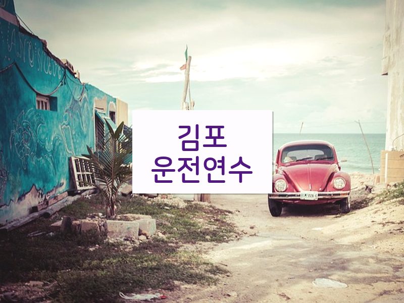 김포운전연수 후기