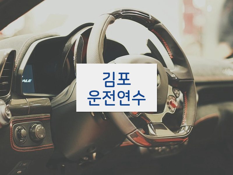 김포운전연수 후기