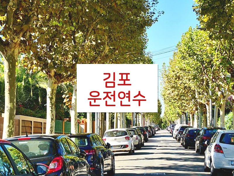 김포운전연수 후기