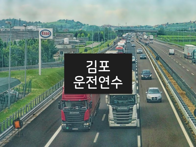 김포운전연수 후기
