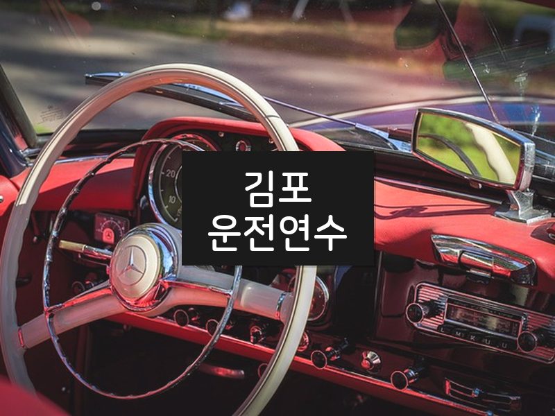 김포운전연수 후기