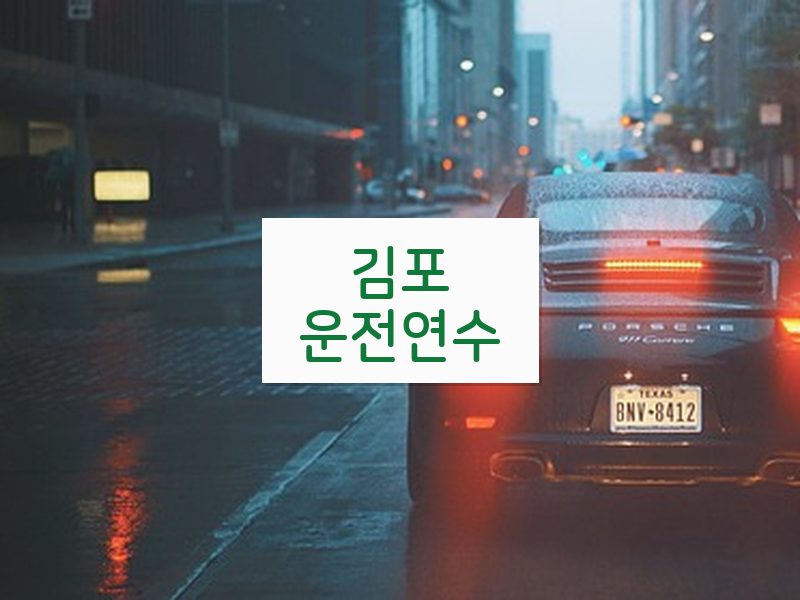 김포운전연수 후기