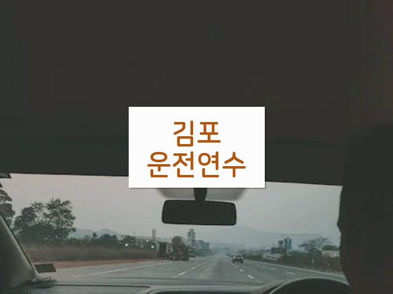 김포운전연수 후기