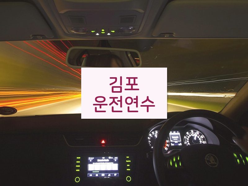 김포운전연수 후기