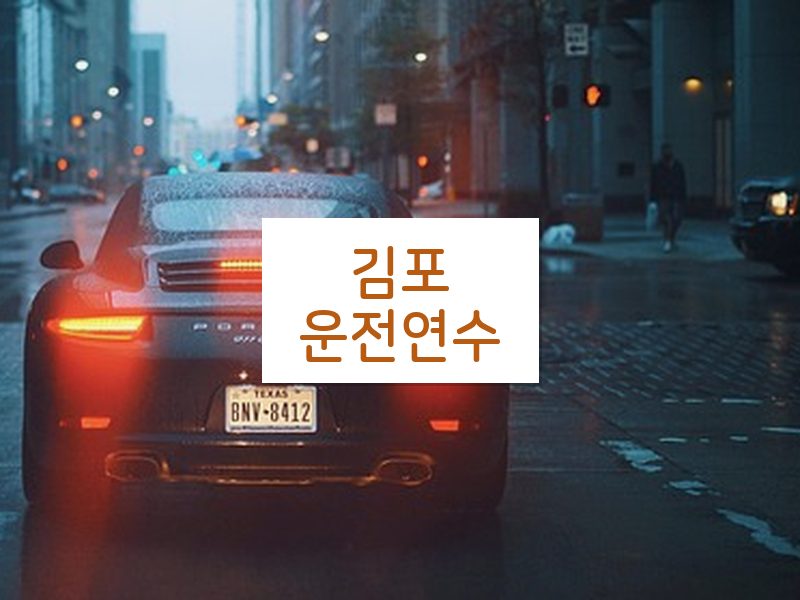 김포운전연수 후기