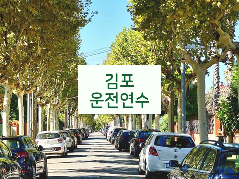 김포운전연수 후기