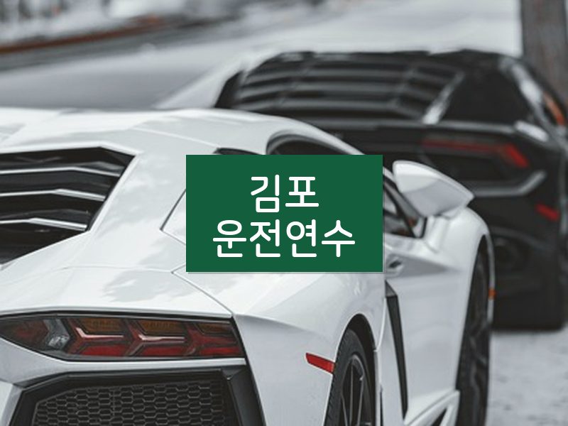 김포운전연수 후기