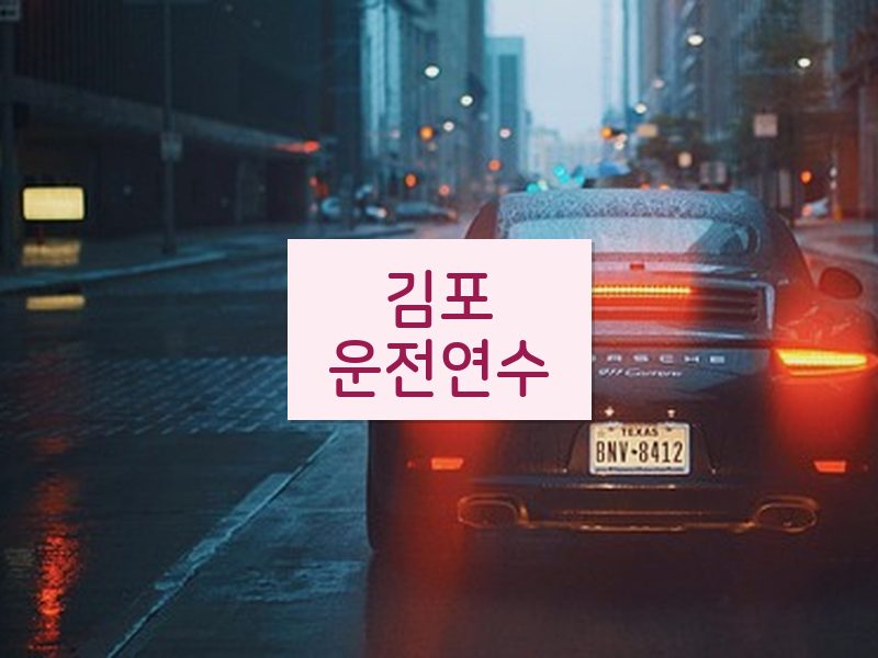 김포운전연수 후기