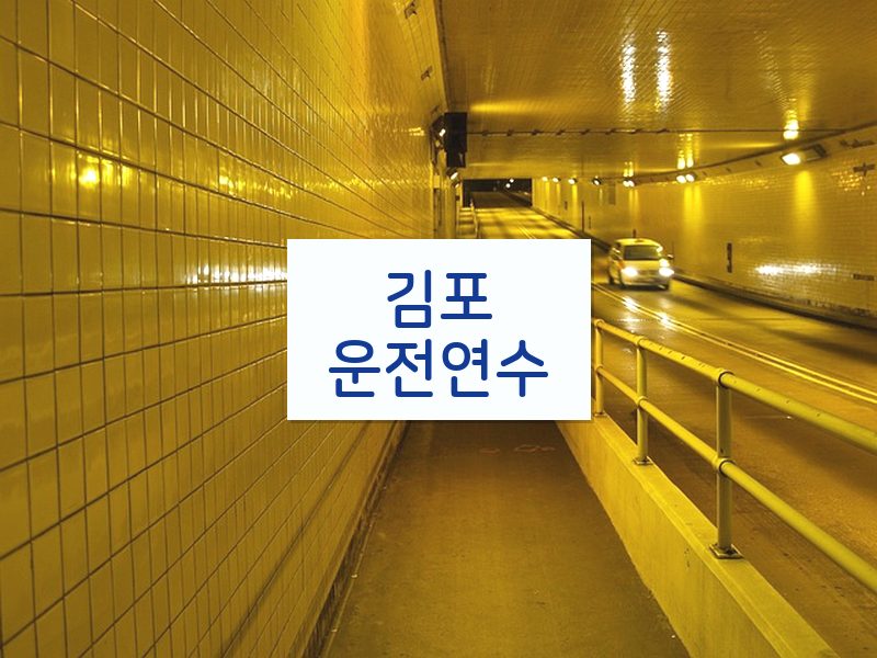 김포운전연수 후기