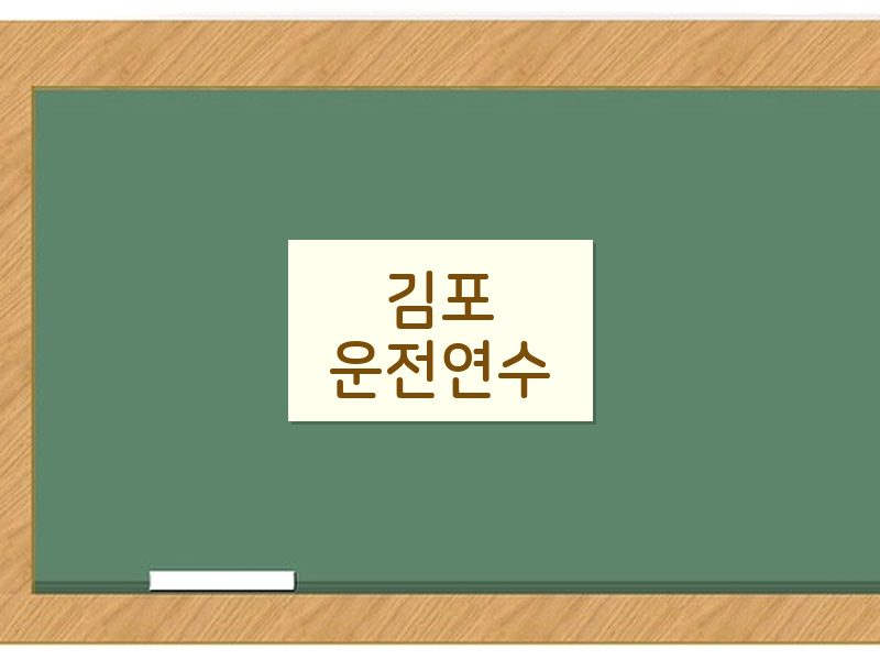 김포운전연수 후기