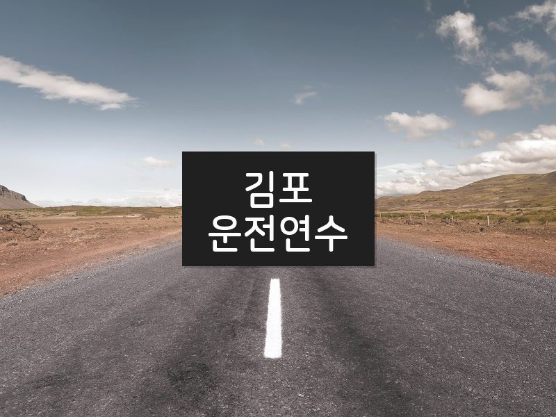 김포운전연수 후기