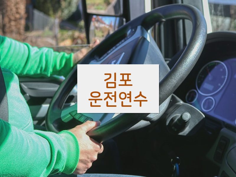 김포운전연수 후기