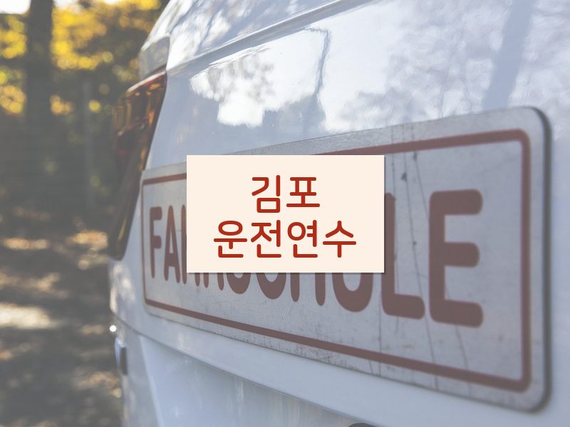 김포운전연수 후기