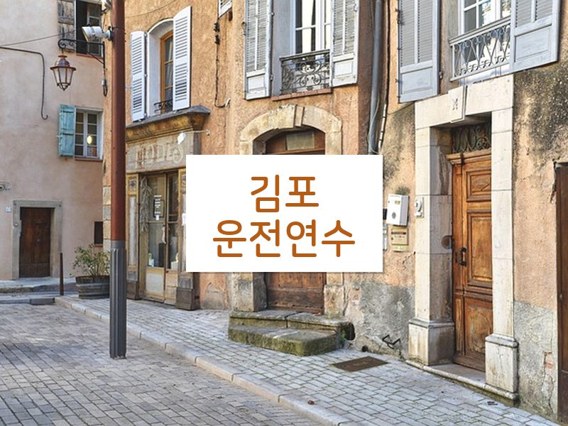 김포운전연수 후기