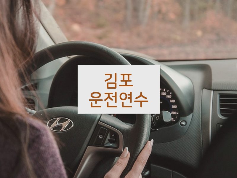 김포운전연수 후기