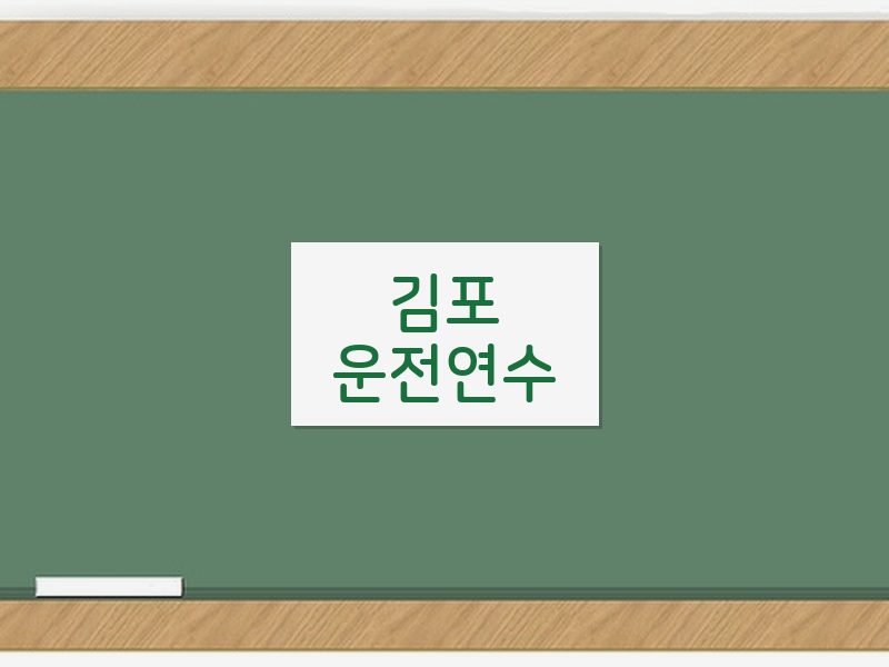 김포운전연수 후기