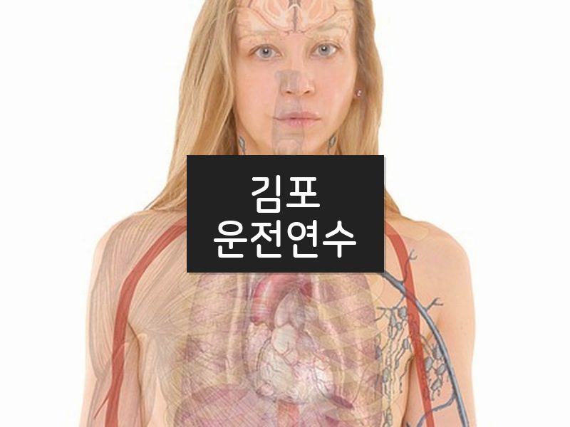 김포운전연수 후기