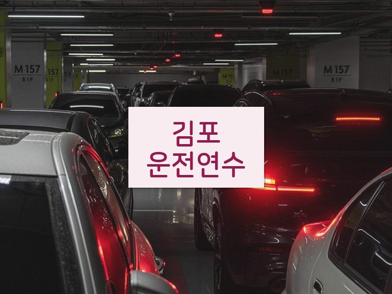 김포운전연수 후기