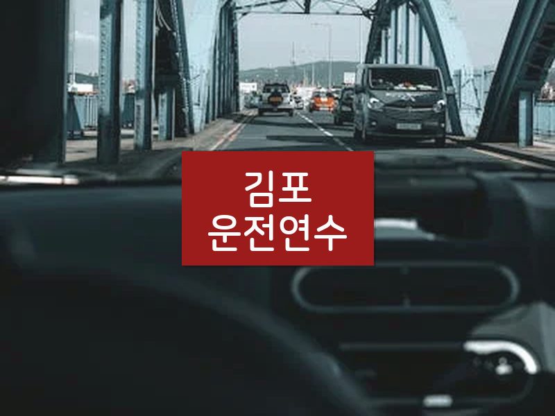 김포운전연수 후기