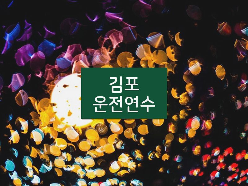 김포운전연수 후기