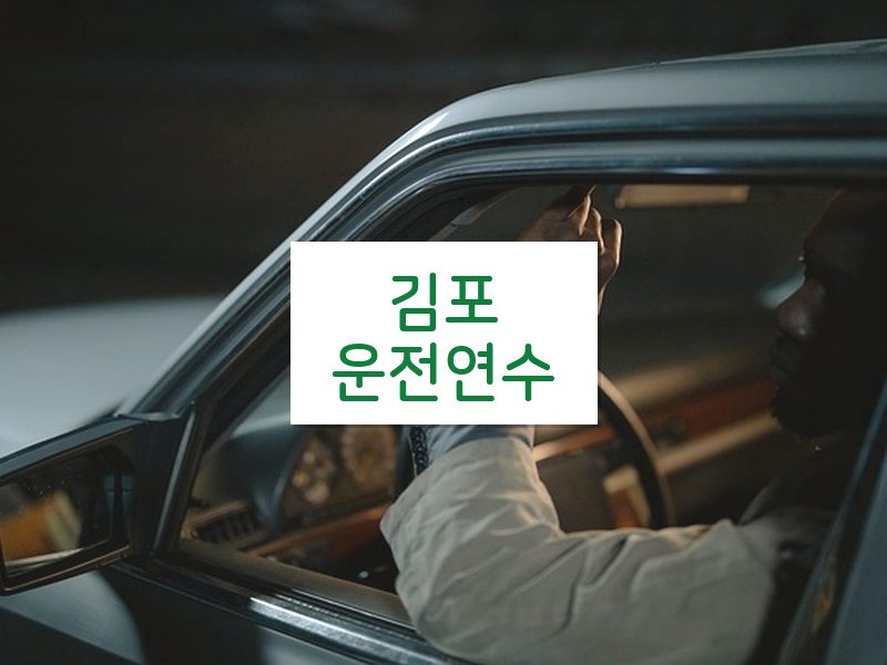 김포운전연수 후기