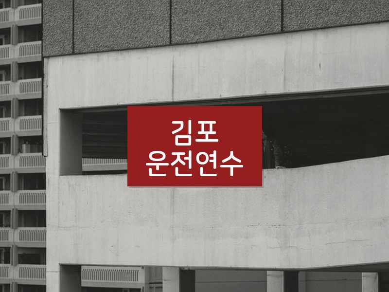 김포운전연수 후기