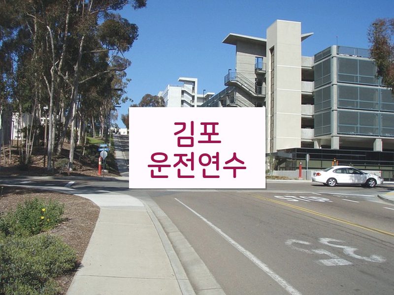 김포운전연수 후기