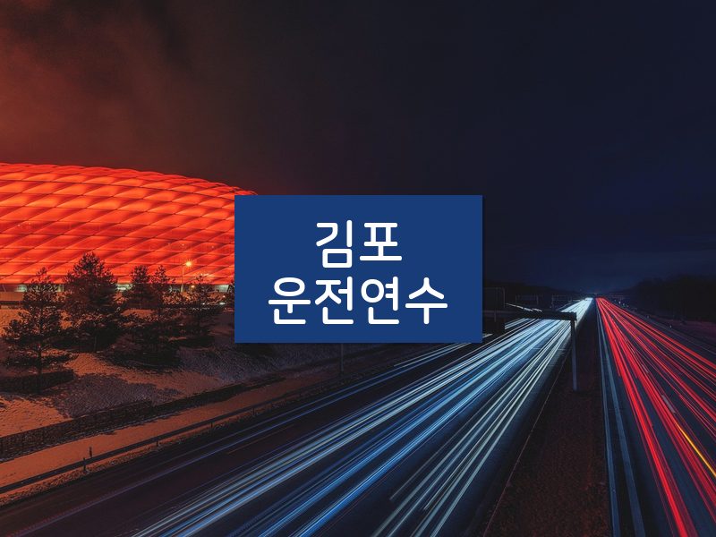 김포운전연수 후기