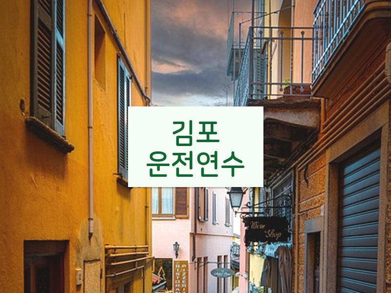 김포운전연수 후기