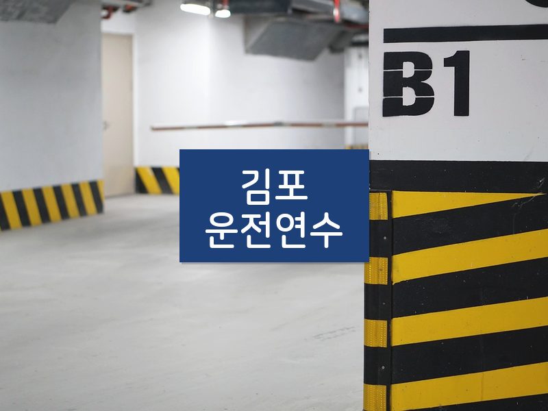 김포운전연수 후기