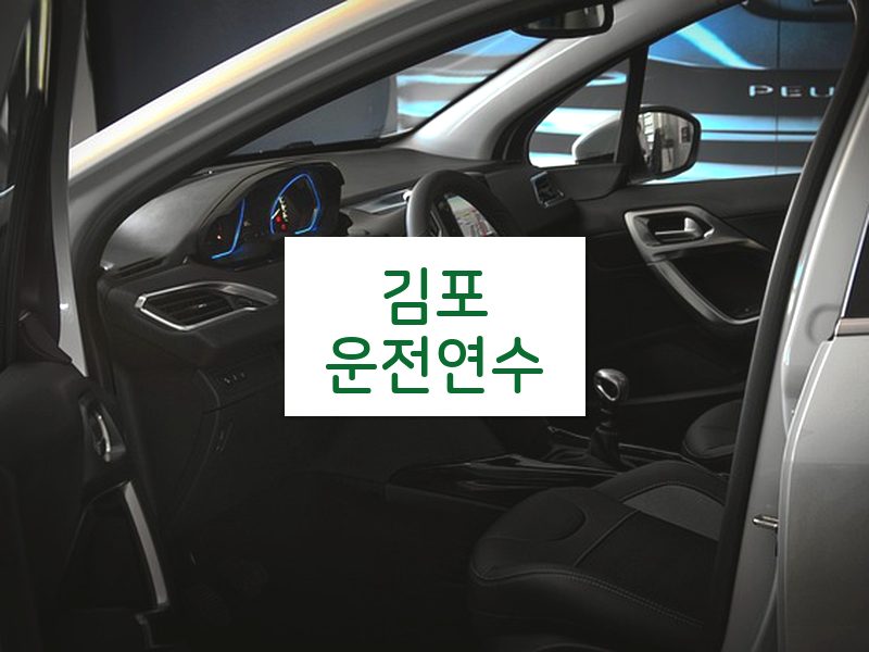 김포운전연수 후기