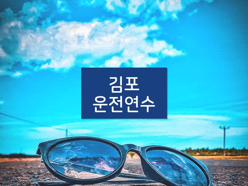 김포운전연수 후기