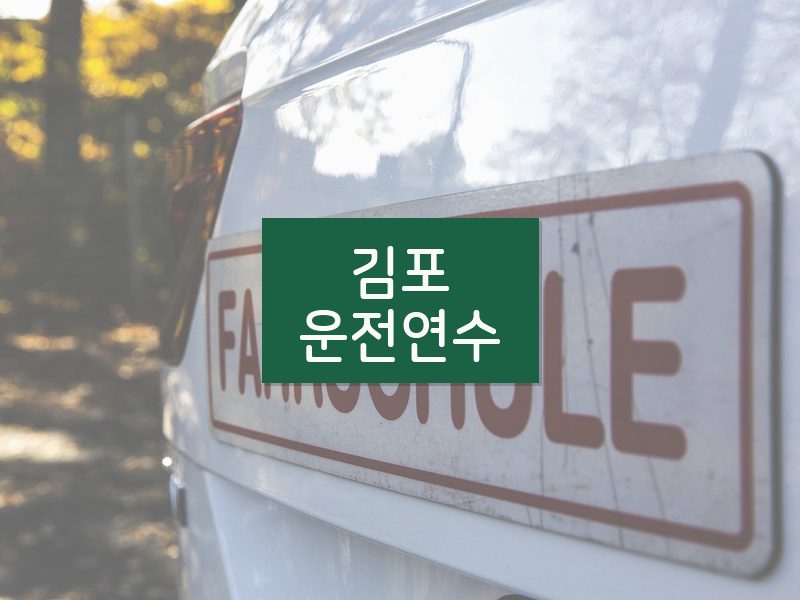 김포운전연수 후기
