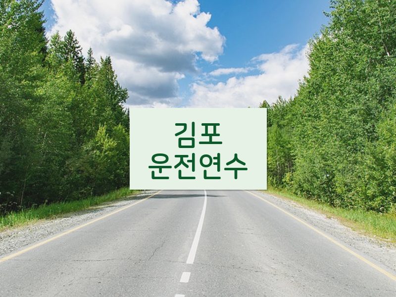 김포운전연수 후기