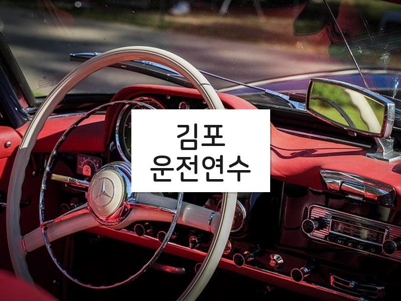 김포운전연수 후기
