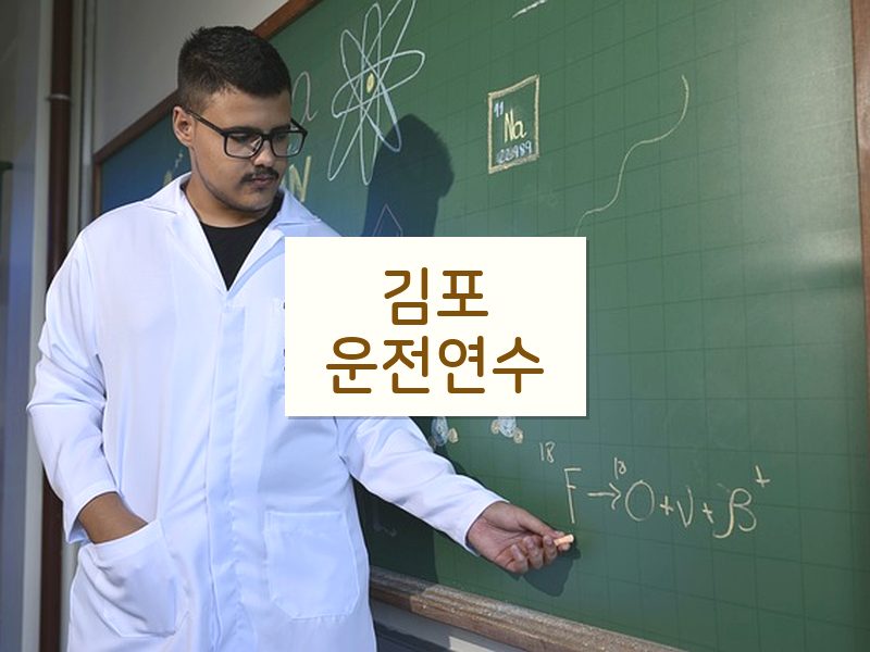 김포운전연수 후기