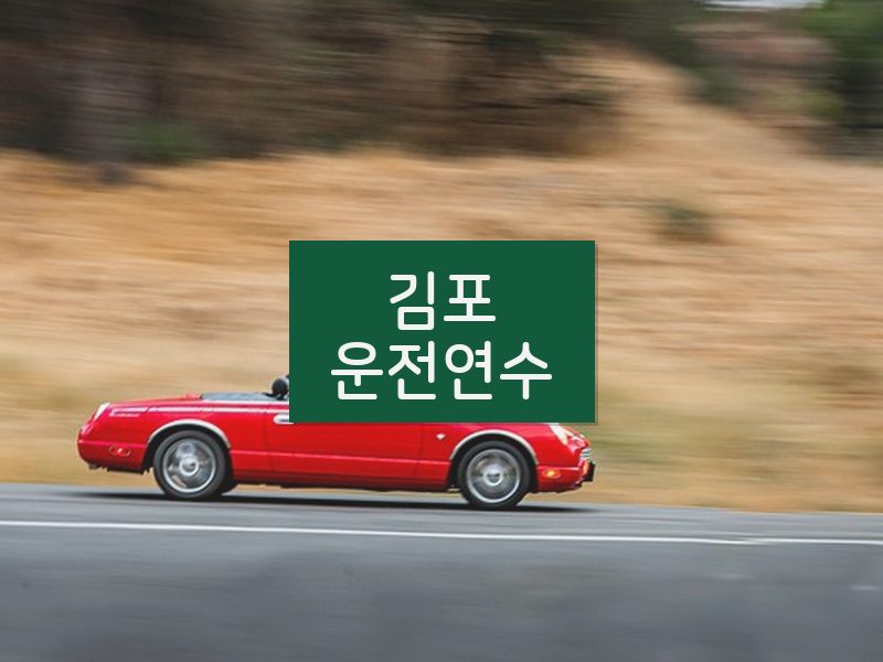 김포운전연수 후기