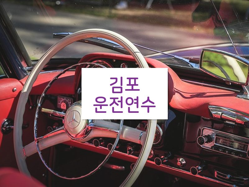 김포운전연수 후기