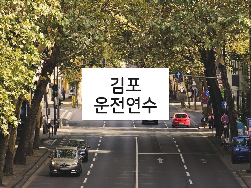 김포운전연수 후기