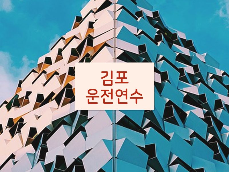 김포운전연수 후기