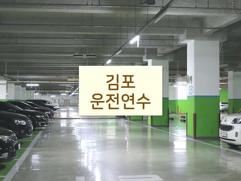 김포운전연수 후기
